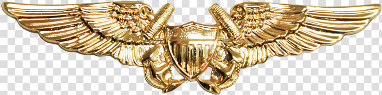 Naval Flight Officer Wings  HD Png DownloadTransparent PNG