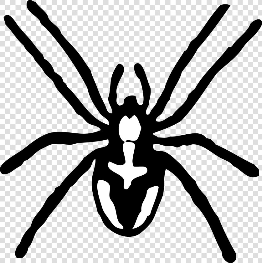 Itsy Bitsy Spider Free   Spider Clipart Black And White  HD Png DownloadTransparent PNG