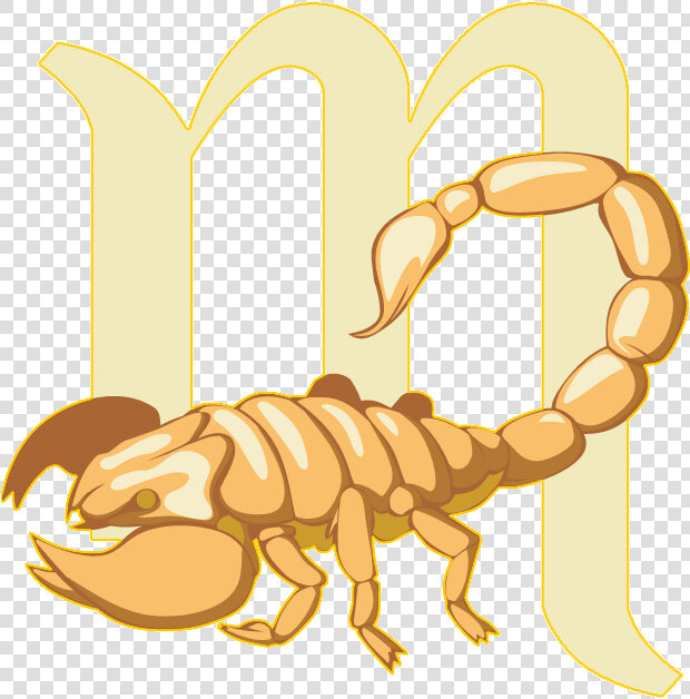 Gemini Vector Scorpio Horoscope   Horoscope  HD Png DownloadTransparent PNG