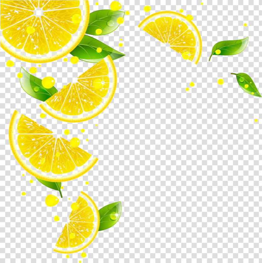 Pin By Pngsector On Lemon Transparent Png Image  amp  Lemon   Transparent Background Lemon Slice Png  Png DownloadTransparent PNG