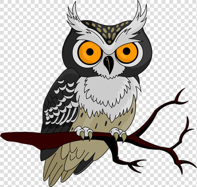 Cute Owl Halloween   Owl Clipart  HD Png DownloadTransparent PNG