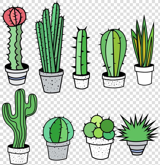 Cactus Free Clip Art On Transparent Png   Cactus And Succulents Clipart  Png DownloadTransparent PNG