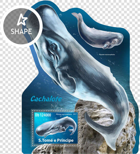 Issue Of Sao Tome And Principe Postage Stamps   Common Bottlenose Dolphin  HD Png DownloadTransparent PNG