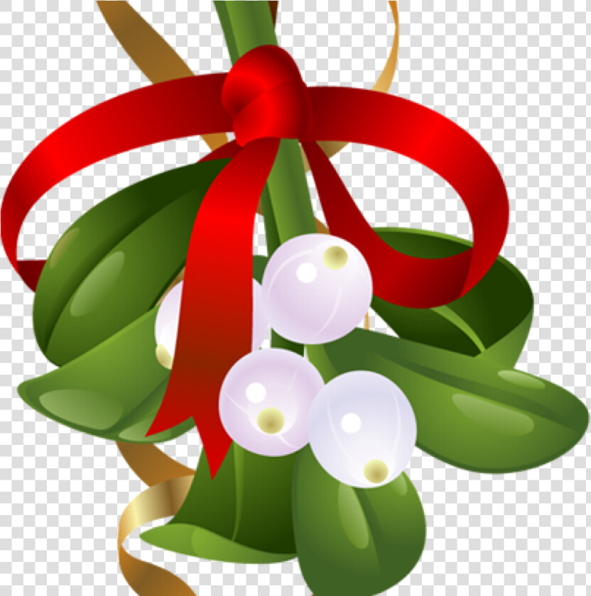 Free Mistletoe Clipart Mistletoe Clip Art 11 Mistletoe   Transparent Background Mistletoe Clipart  HD Png DownloadTransparent PNG