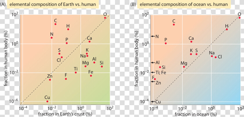 Cbbtn Ch2   Elemental Composition Of Cell  HD Png DownloadTransparent PNG