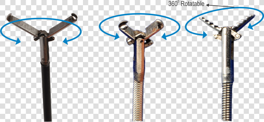 Rat Tooth Alligator Forceps  HD Png DownloadTransparent PNG