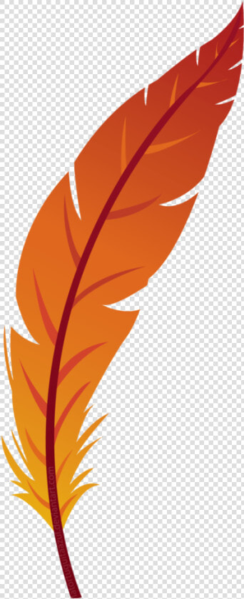 Feather Png Image Download   Feather Clipart Png  Transparent PngTransparent PNG