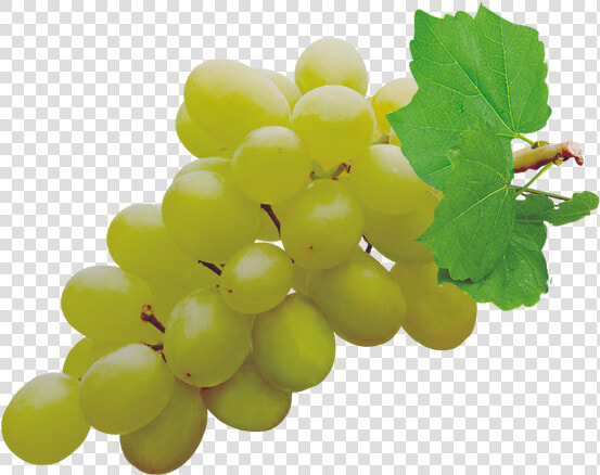 Grapes Png Pic   Grapes Png  Transparent PngTransparent PNG