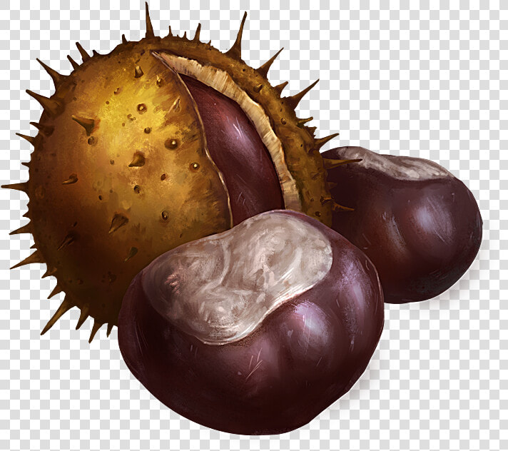 Chestnuts   Fruit  HD Png DownloadTransparent PNG