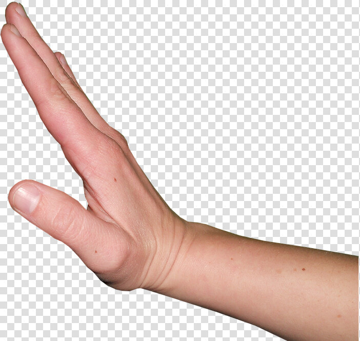 Hand Gesture  Stop  Wait  Hand  Gestures  Slide  Human   Stop Hand Gesture Png  Transparent PngTransparent PNG