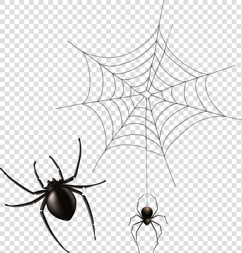 Spider And Cobweb Png Clipart Image   Transparent Background Spider Web Png  Png DownloadTransparent PNG