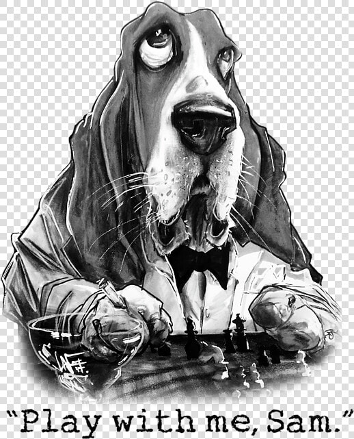 Basset Hound  HD Png DownloadTransparent PNG