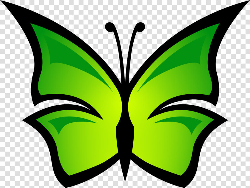 Net » Clip Art » Butterfly 68 Coloring Book Colouring  HD Png DownloadTransparent PNG