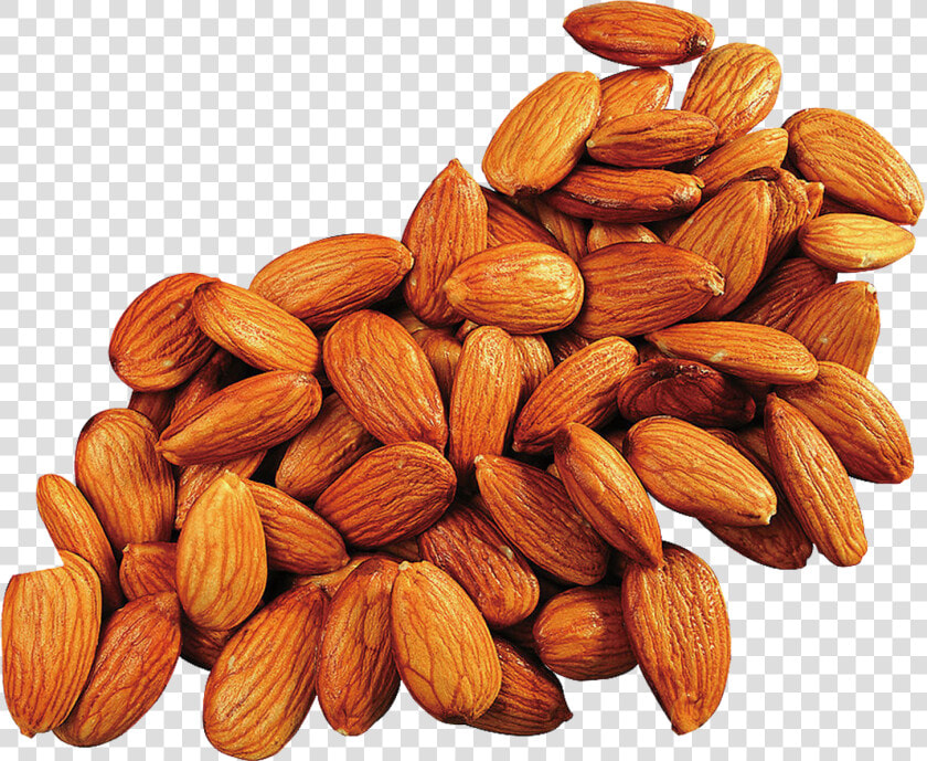 Apricot Kernel Almond Oil Food   Almonds Png  Transparent PngTransparent PNG