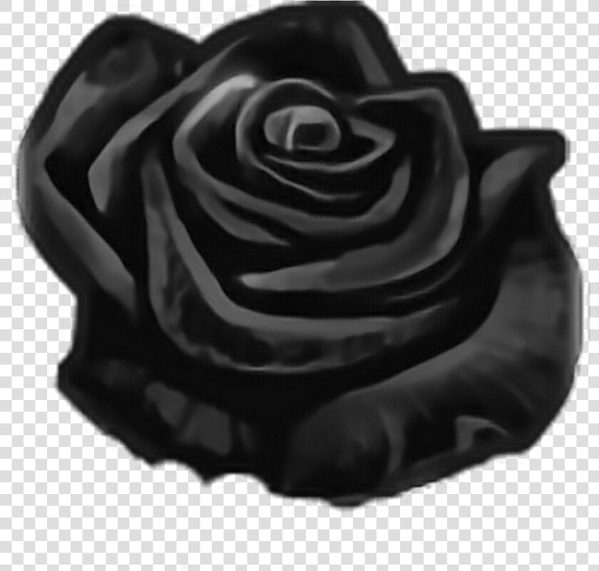 Mq Black Rose Roses Flowers Flower   Floribunda  HD Png DownloadTransparent PNG