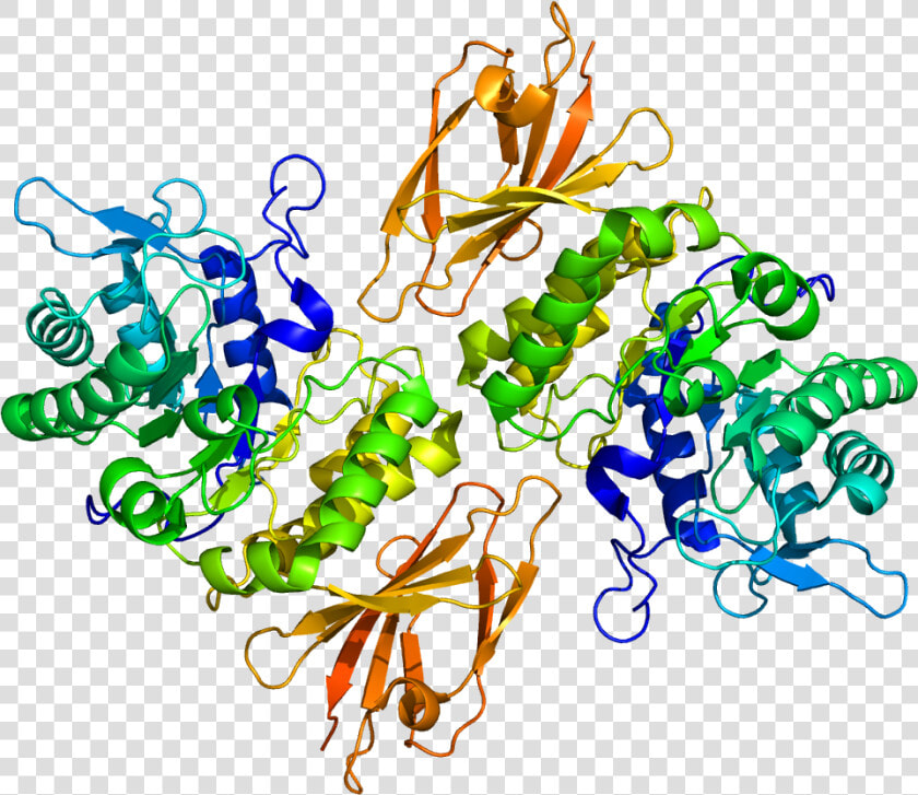 Protein Naga Pdb 3h53   Naga Gene  HD Png DownloadTransparent PNG