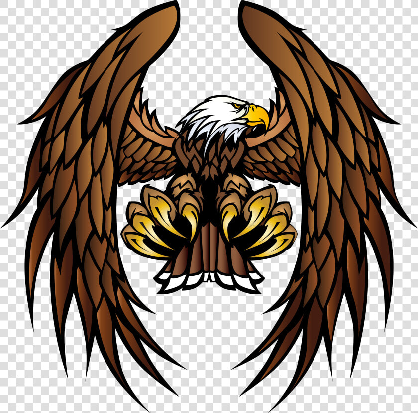 Bald Eagle White tailed Eagle Bird Of Prey  HD Png DownloadTransparent PNG