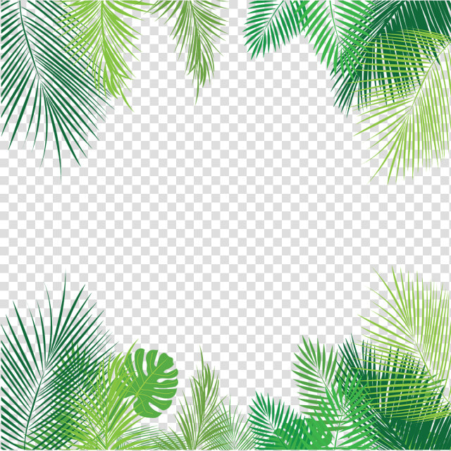 Palm Hojas Tropicales Verde   Overlay Tropical Png  Transparent PngTransparent PNG