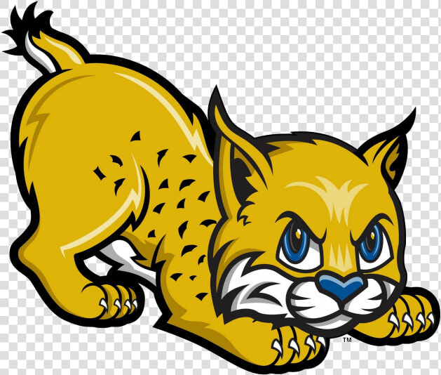 Uc Merced Golden Bobcats Men S Basketball Clip Art   Bobcat Clipart  HD Png DownloadTransparent PNG