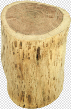 Tree Stump  HD Png DownloadTransparent PNG