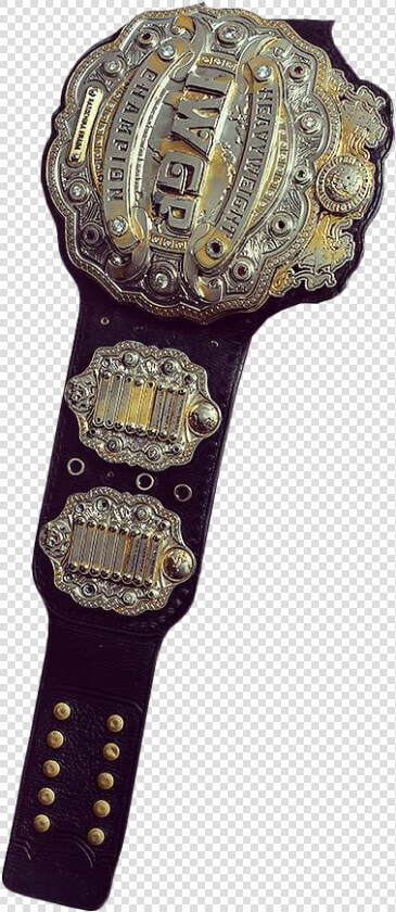 Iwgp Heavyweight Championship Png  Transparent PngTransparent PNG