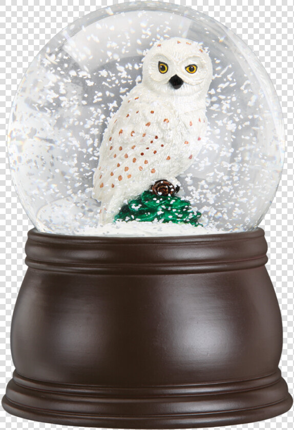 Great White Owl Snow Globe   Snow Globe  HD Png DownloadTransparent PNG