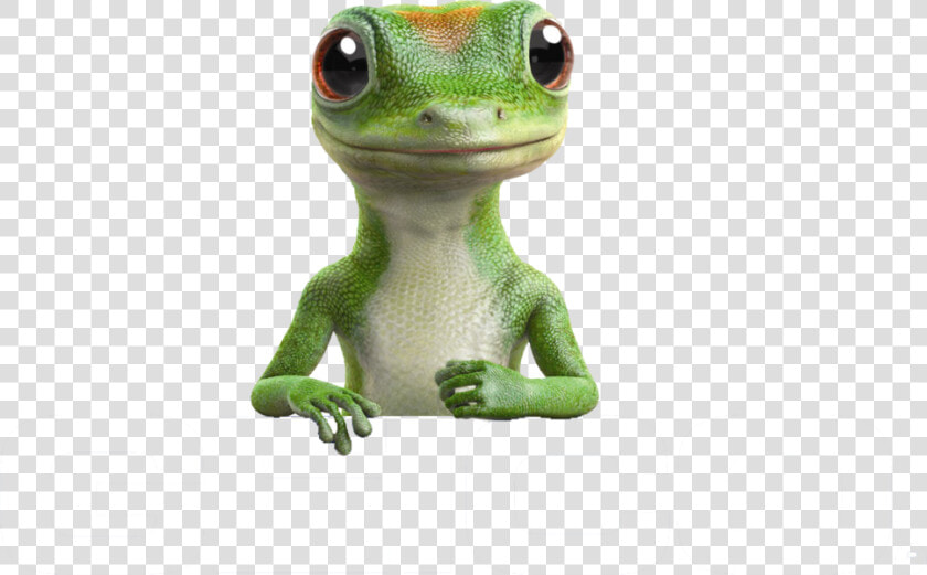 Transparent Geico Lizard Png   Geico Insurance  Png DownloadTransparent PNG