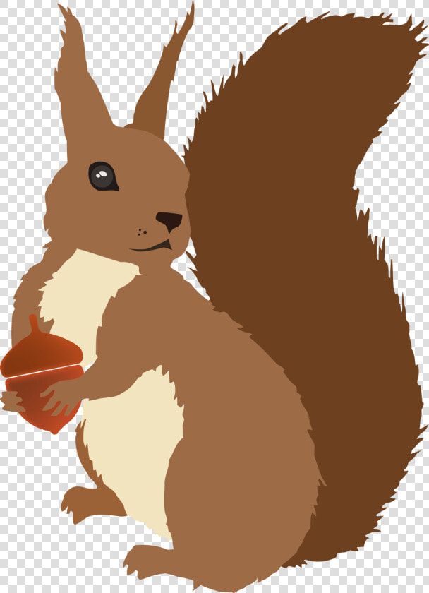 Transparent Squirrel Clipart   Transparent Squirrel Vector Png  Png DownloadTransparent PNG