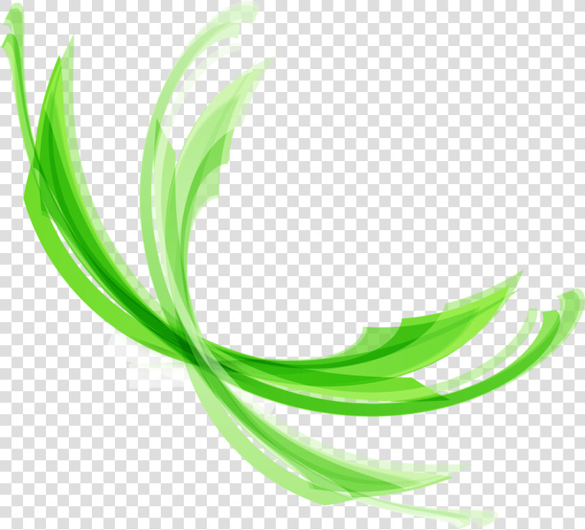 Green Lines Png   Lineas Decorativas Verdes Png  Transparent PngTransparent PNG