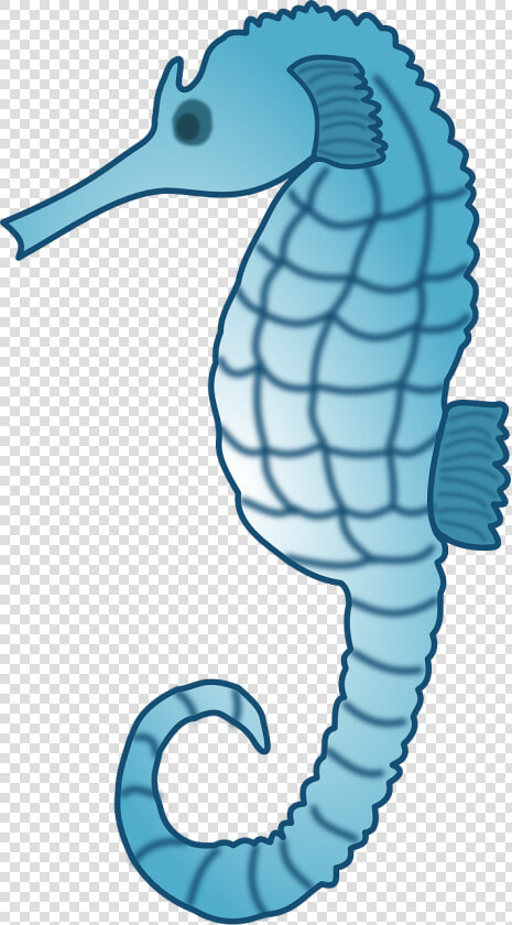 Seahorse Free To Use Cliparts   Seahorses Clip Art  HD Png DownloadTransparent PNG