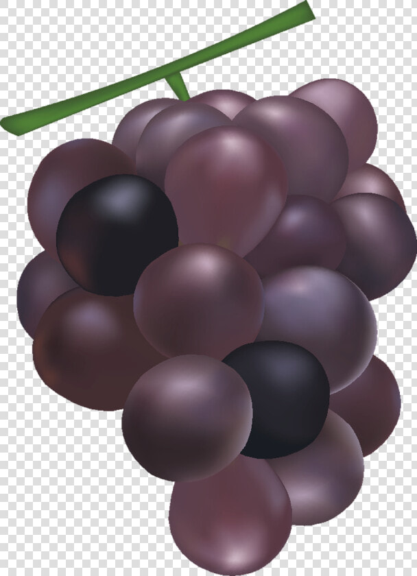 Grapes Mesh Free Vector Graphics Free Photo   Grapes Mesh  HD Png DownloadTransparent PNG