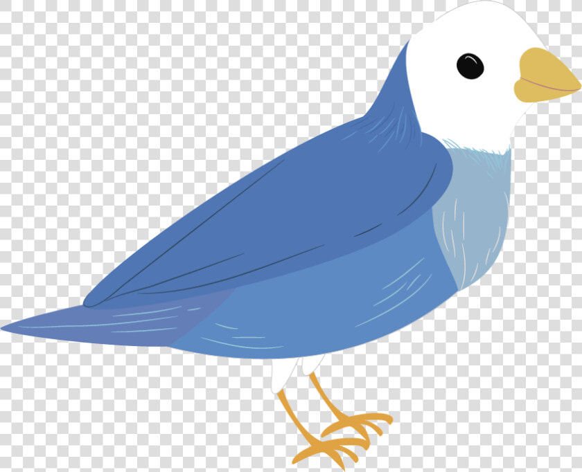 Perching Bird  HD Png DownloadTransparent PNG