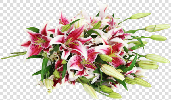 Stargazer Lily Bouquet Png  Transparent PngTransparent PNG