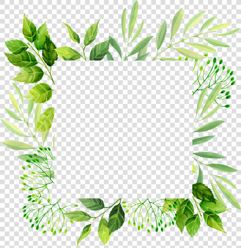 Leaf plant herb line Art flower clip Art   Free Frame Template Leaves  HD Png DownloadTransparent PNG