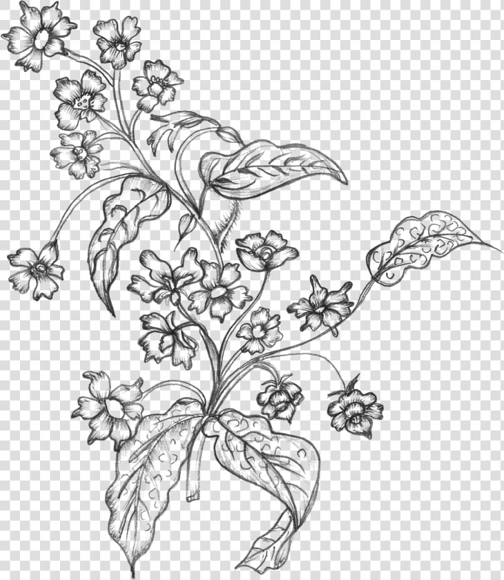 Black White Sketchy Flowers Free Png   Flower Line Art Transparent Background  Png DownloadTransparent PNG