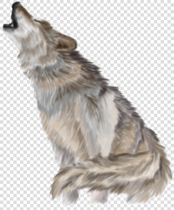 Download Wolf Png Pic   Transparent Background Wolf Png  Png DownloadTransparent PNG