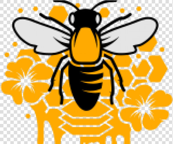 Bee With Crown   Honeybee  HD Png DownloadTransparent PNG