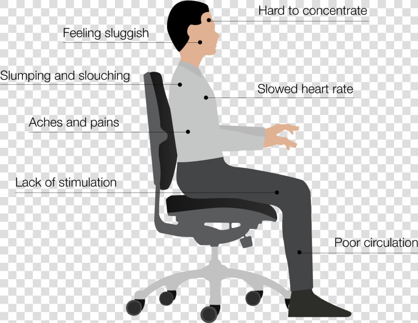 Transparent Man Sitting In Chair Png   Good Sitting Posture  Png DownloadTransparent PNG