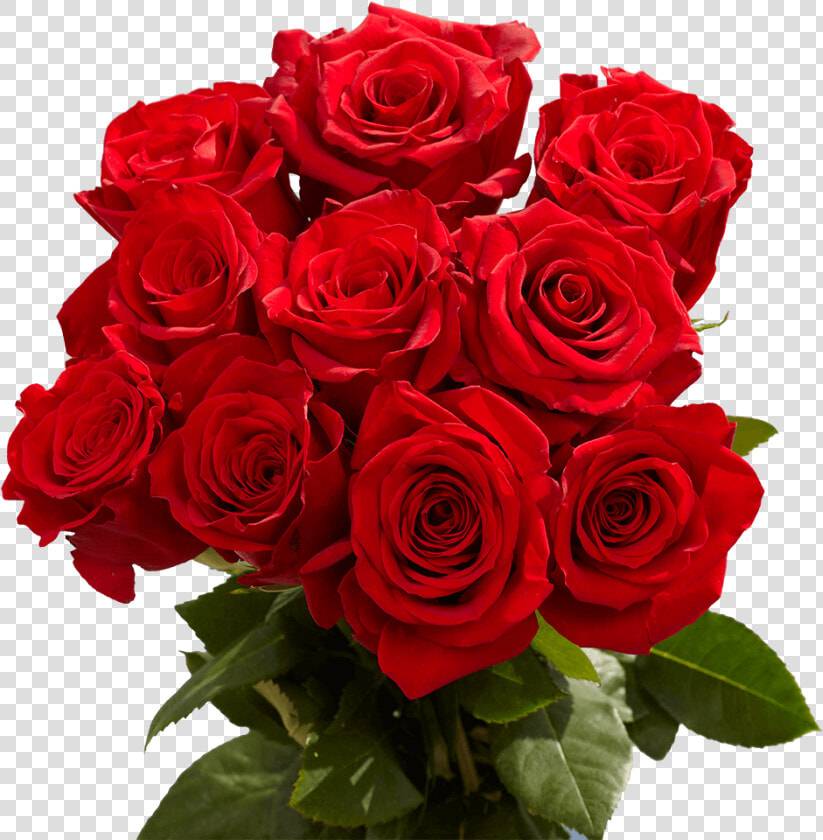 Red Roses Valentine S Day Delivery   Beautiful Red Rose Flowers  HD Png DownloadTransparent PNG