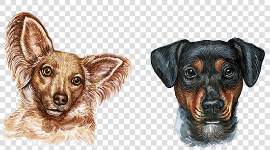 Dog Watercolor Painting   Cabeza De Perro Png  Transparent PngTransparent PNG