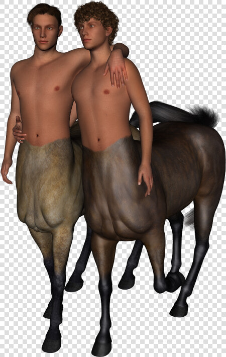 Mare  HD Png DownloadTransparent PNG