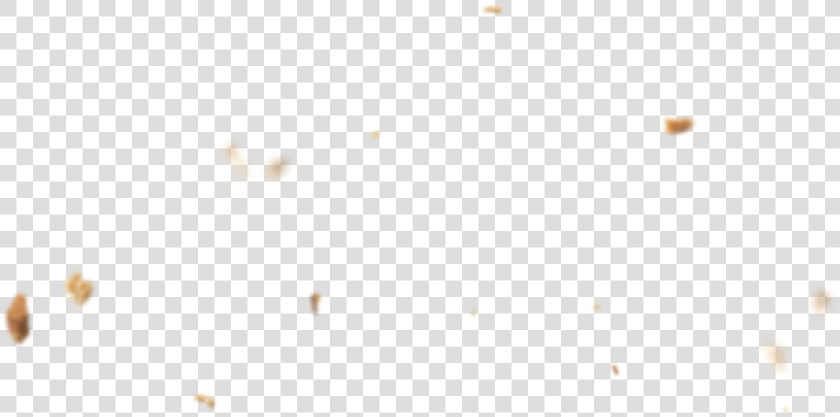 Bread Crumbs Png  Transparent PngTransparent PNG