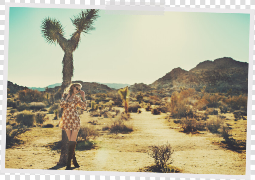 Joshua Tree Alaina  HD Png DownloadTransparent PNG