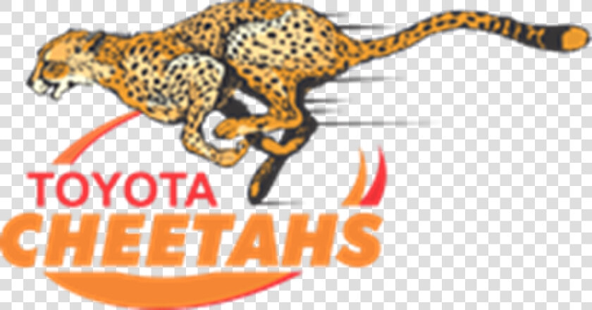 Cheetahs Rugby Logo  HD Png DownloadTransparent PNG