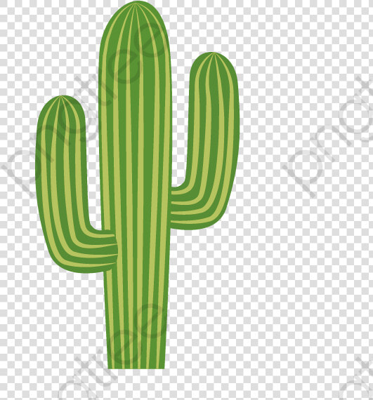 Cactus Clipart Cartoon   Cactus Png  Transparent PngTransparent PNG