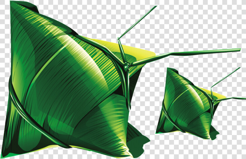 Zongzi Leaves Beautiful Vector   Illustration  HD Png DownloadTransparent PNG