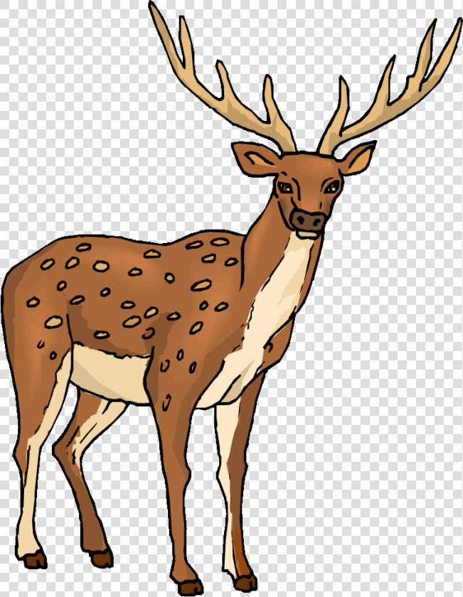 Deer Clipart Free Clip Art Images Clipartcow   Deer Clipart Png  Transparent PngTransparent PNG