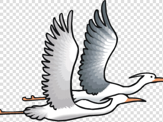 Sea Bird Clipart Transparent   Dibujos De Garzas Volando  HD Png DownloadTransparent PNG