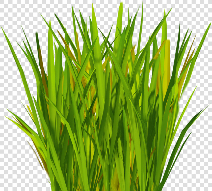 Most Realistic Artificial Grass V   Grass Blade Texture Png  Transparent PngTransparent PNG