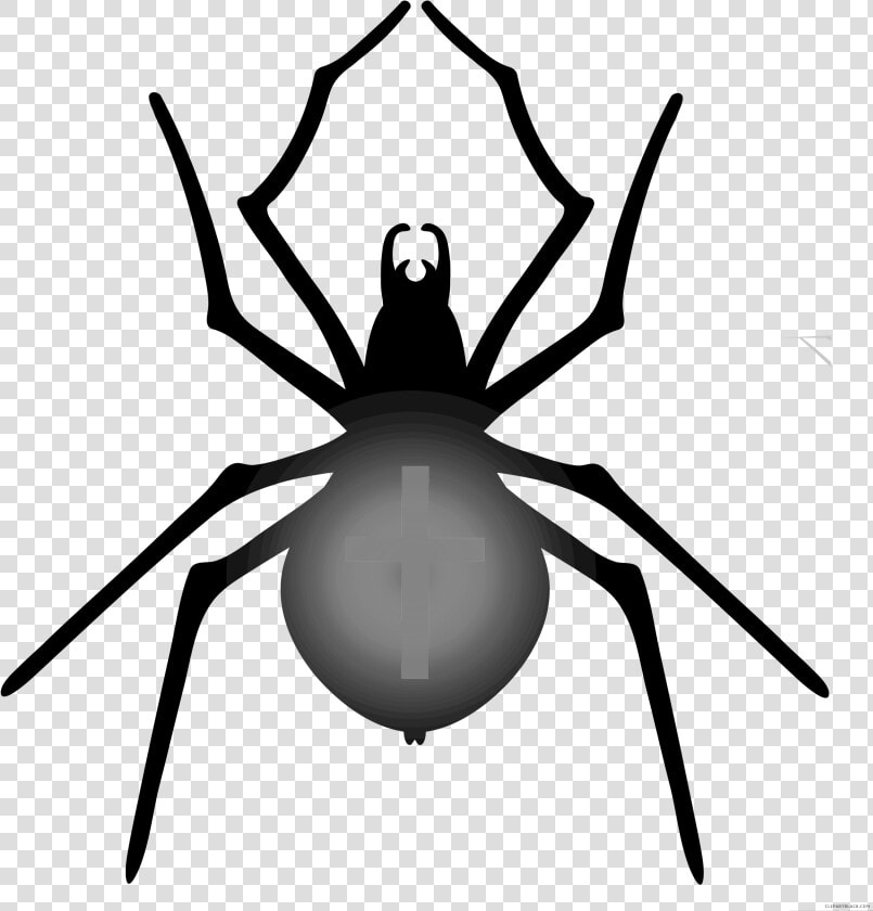 Halloween Clipart Spider   Drawing Halloween Spider Web  HD Png DownloadTransparent PNG